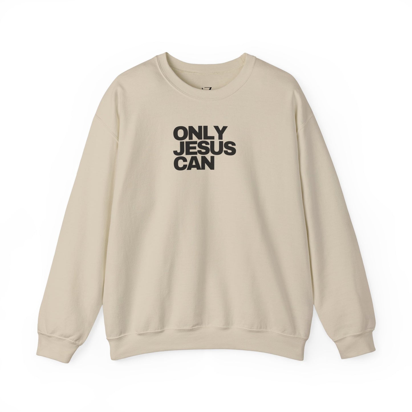 Only Jesus Can Sweatshirt